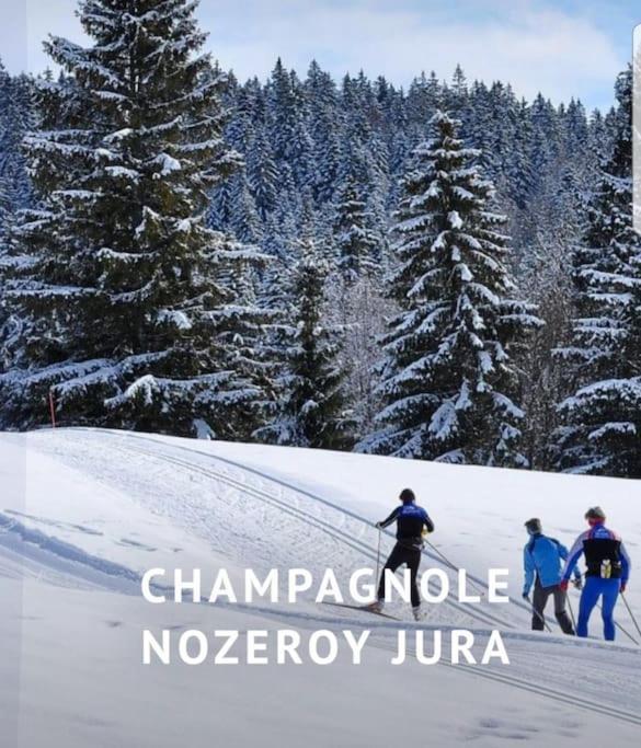 Ney Gite Jura Mina Chalet Au Milieu De La Natureヴィラ エクステリア 写真