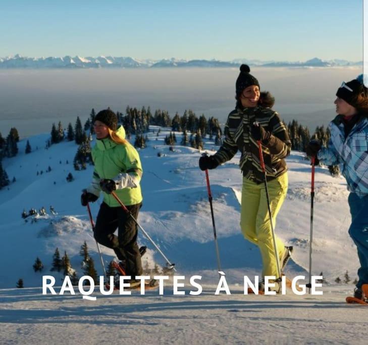 Ney Gite Jura Mina Chalet Au Milieu De La Natureヴィラ エクステリア 写真