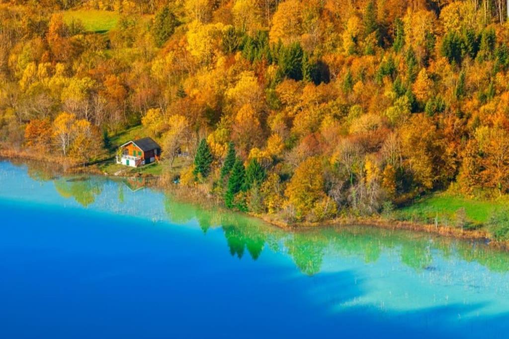 Ney Gite Jura Mina Chalet Au Milieu De La Natureヴィラ エクステリア 写真