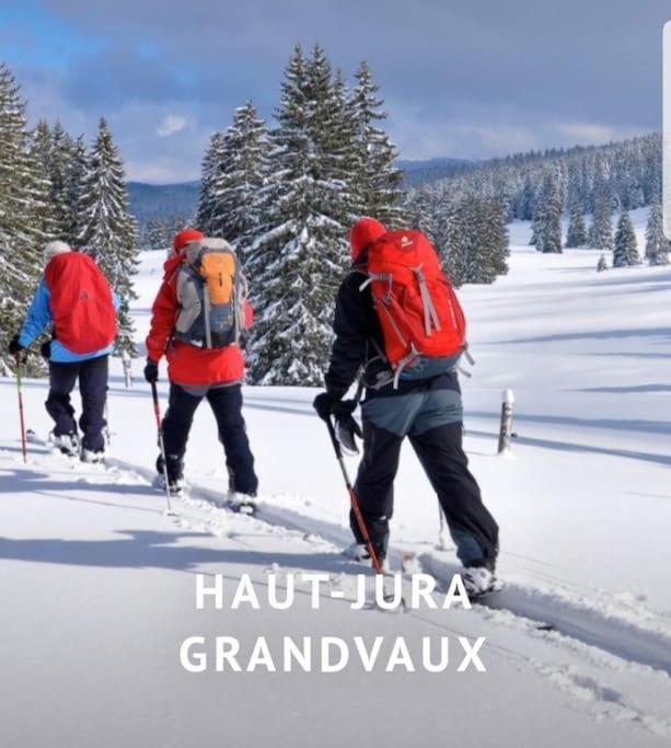 Ney Gite Jura Mina Chalet Au Milieu De La Natureヴィラ エクステリア 写真