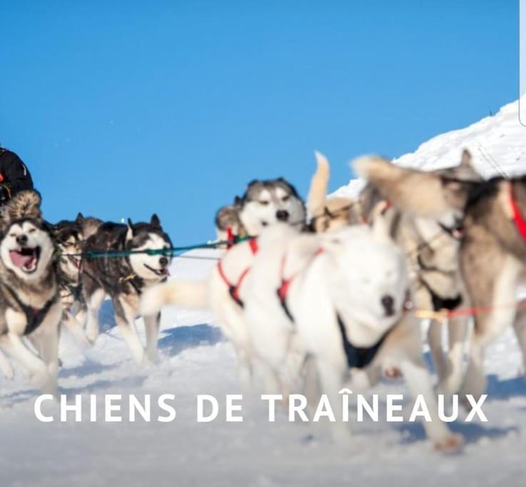 Ney Gite Jura Mina Chalet Au Milieu De La Natureヴィラ エクステリア 写真
